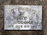 image of grave number 599251